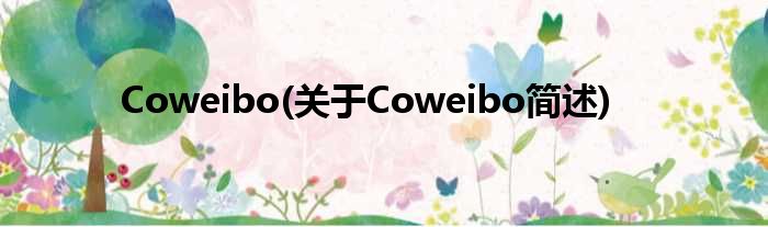 Coweibo(对于Coweibo简述)