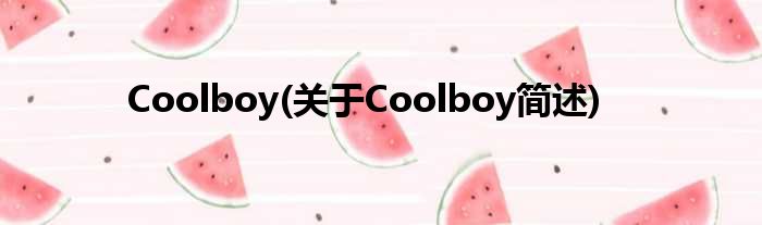 Coolboy(对于Coolboy简述)