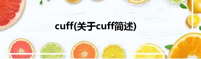 cuff(对于cuff简述)