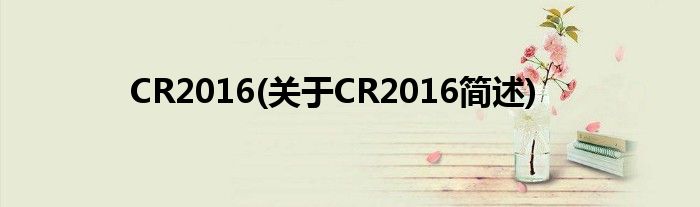 CR2016(对于CR2016简述)
