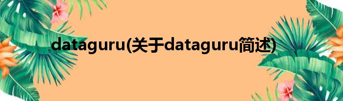 dataguru(对于dataguru简述)