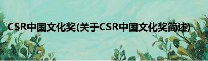 CSR中国横蛮奖(对于CSR中国横蛮奖简述)