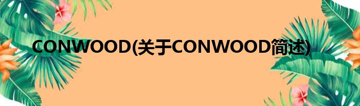 CONWOOD(对于CONWOOD简述)