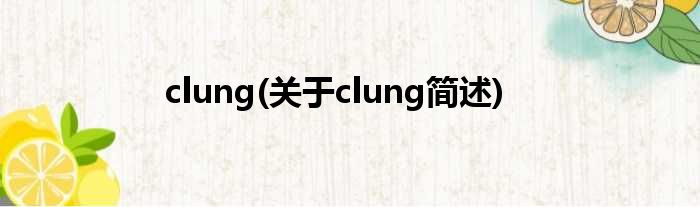 clung(对于clung简述)