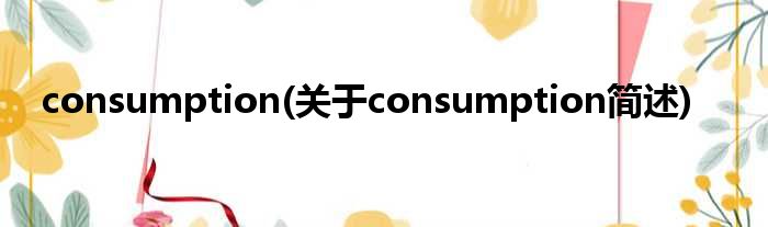 consumption(对于consumption简述)
