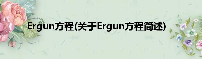 Ergun方程(对于Ergun方程简述)