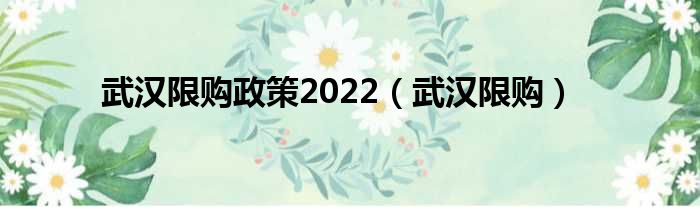 武汉限购政策2022（武汉限购）