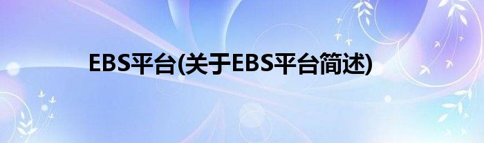 EBS平台(对于EBS平台简述)