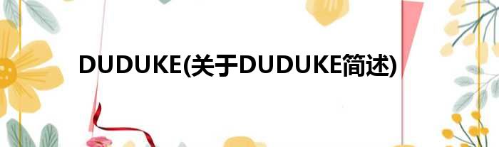 DUDUKE(对于DUDUKE简述)