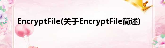 EncryptFile(对于EncryptFile简述)