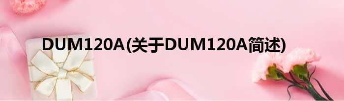 DUM120A(对于DUM120A简述)