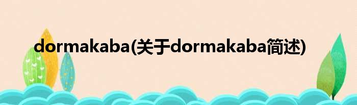 dormakaba(对于dormakaba简述)