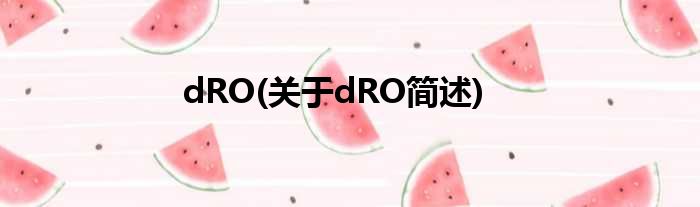 dRO(对于dRO简述)