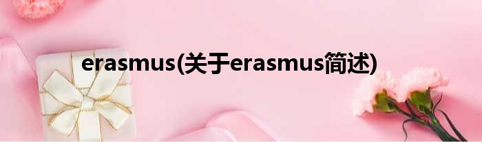 erasmus(对于erasmus简述)