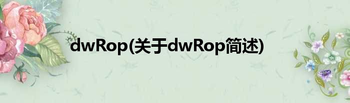 dwRop(对于dwRop简述)