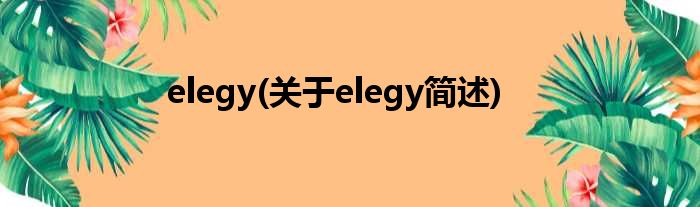 elegy(对于elegy简述)