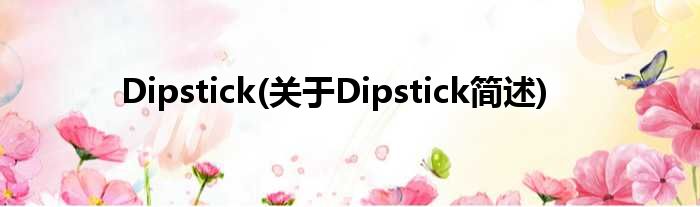 Dipstick(对于Dipstick简述)