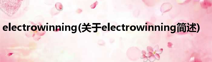 electrowinning(对于electrowinning简述)