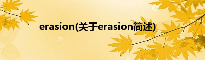 erasion(对于erasion简述)