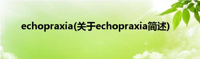 echopraxia(对于echopraxia简述)