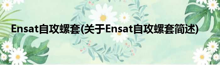 Ensat自攻螺套(对于Ensat自攻螺套简述)