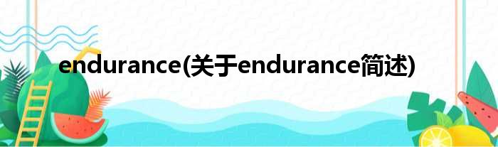 endurance(对于endurance简述)
