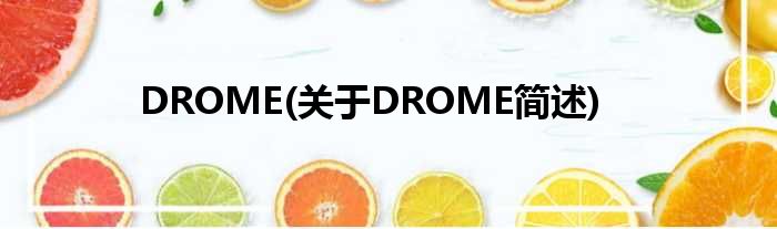 DROME(对于DROME简述)