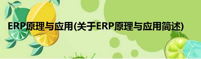 ERP道理与运用(对于ERP道理与运用简述)
