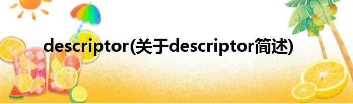 descriptor(对于descriptor简述)