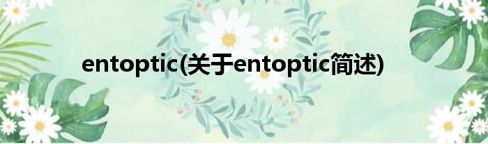 entoptic(对于entoptic简述)