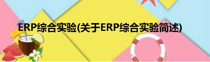 ERP综合试验(对于ERP综合试验简述)