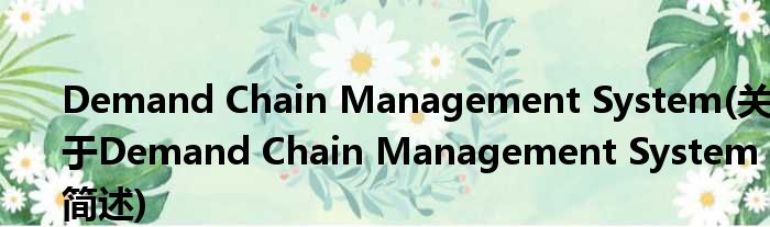 Demand Chain Management System(对于Demand Chain Management System简述)