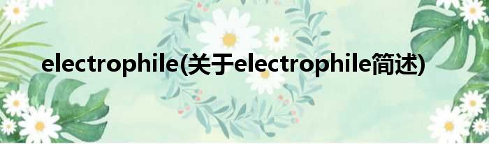 electrophile(对于electrophile简述)