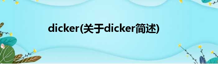 dicker(对于dicker简述)