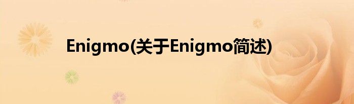 Enigmo(对于Enigmo简述)