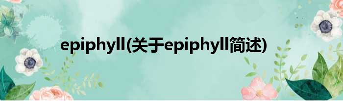 epiphyll(对于epiphyll简述)