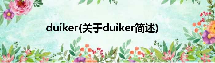 duiker(对于duiker简述)