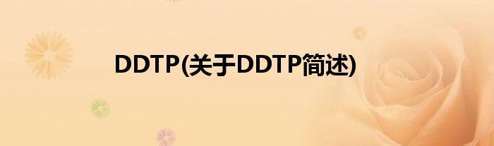 DDTP(对于DDTP简述)