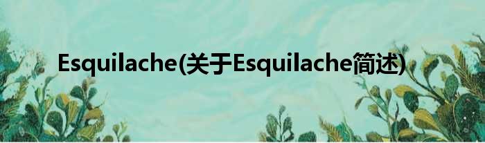 Esquilache(对于Esquilache简述)