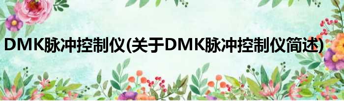 DMK脉冲操作仪(对于DMK脉冲操作仪简述)