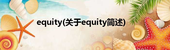 equity(对于equity简述)