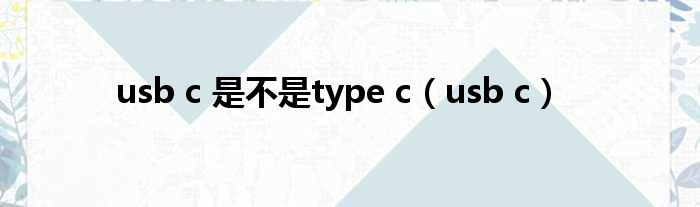 usb c 是否type c（usb c）