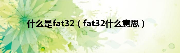 甚么是fat32（fat32甚么意思）