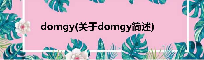domgy(对于domgy简述)
