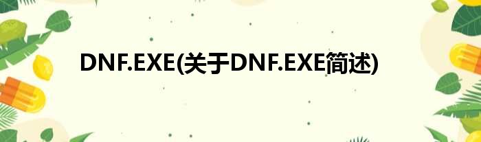 DNF.EXE(对于DNF.EXE简述)