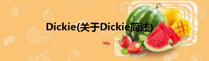 Dickie(对于Dickie简述)