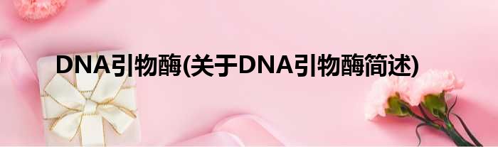 DNA引物酶(对于DNA引物酶简述)