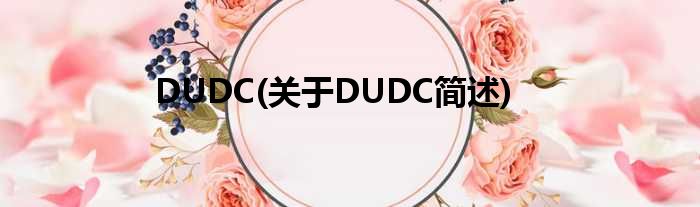 DUDC(对于DUDC简述)