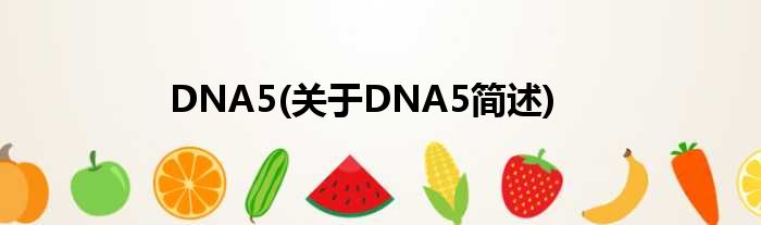 DNA5(对于DNA5简述)