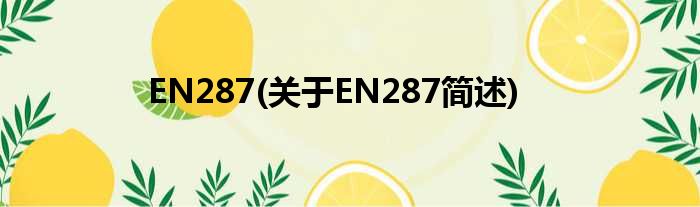 EN287(对于EN287简述)